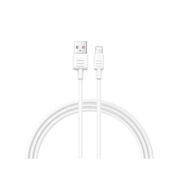 RECCI CABLE LIGHTNING RS10L 100CM